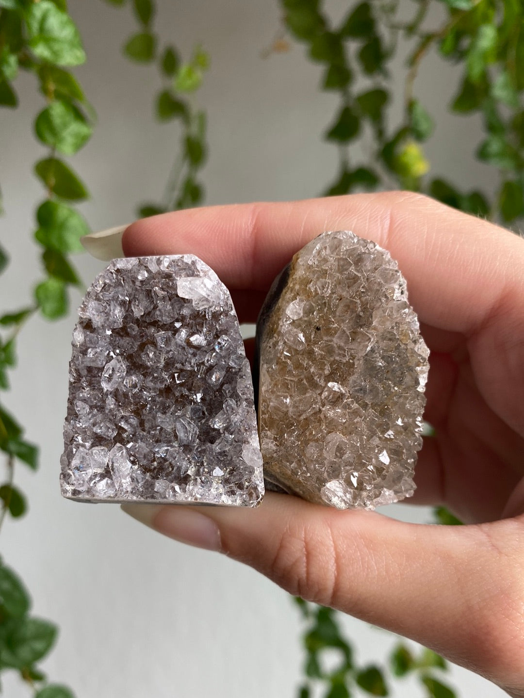 Small Rainbow Amethyst Cut Bases | You Pick Size
