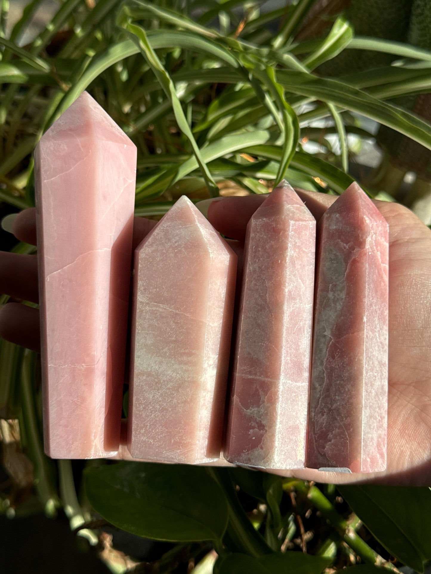 Pink Opal Towers Batch 1