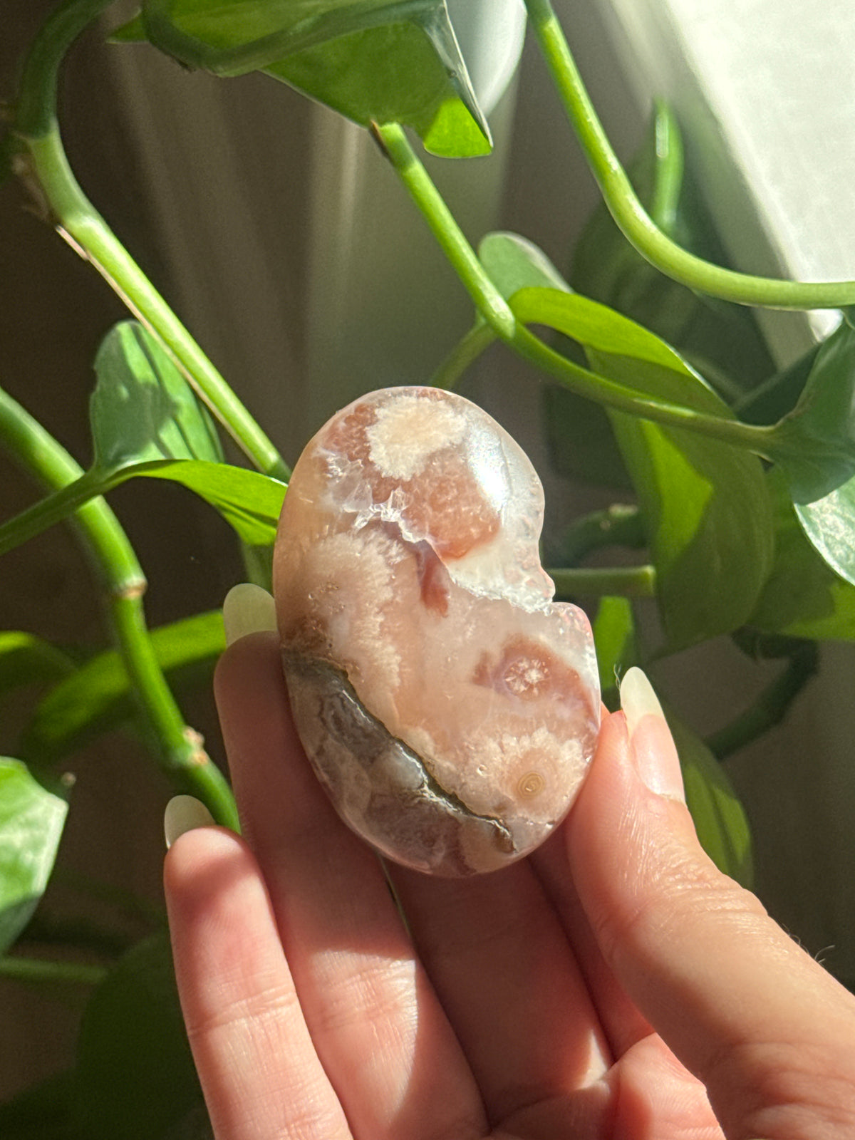 Pretty Druzy Flower Agate Palmstone
