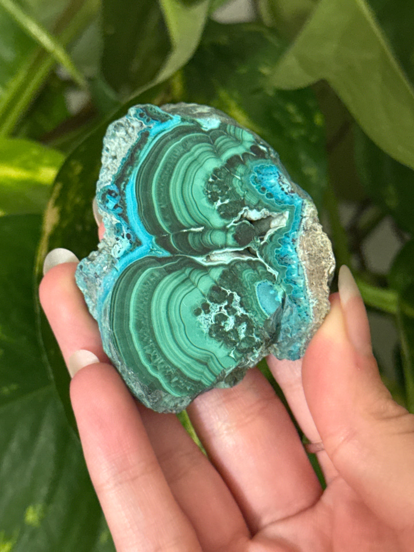 Malachite & Chrysocolla Unique Slabs | You Pick