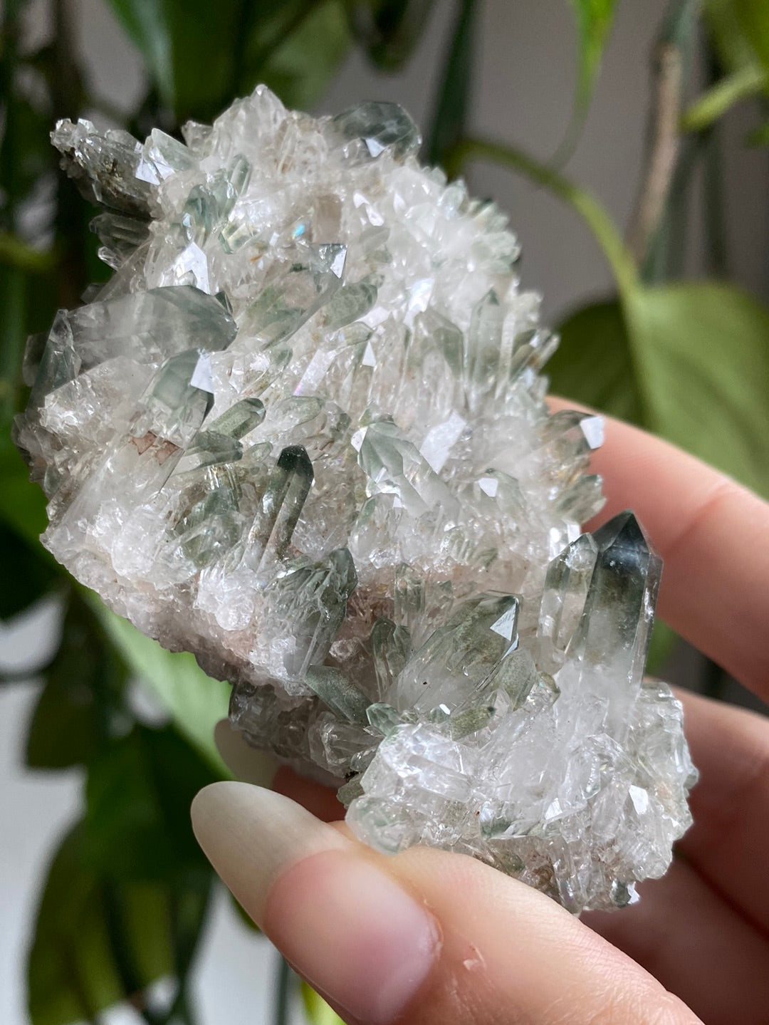 Himalayan High Altitude Quartz