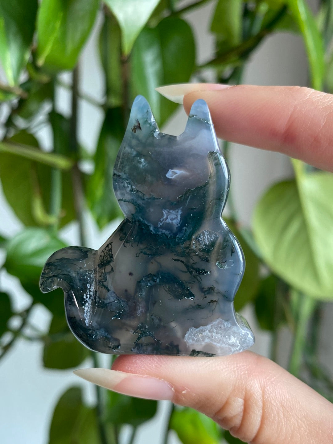 Moss Agate Kitty