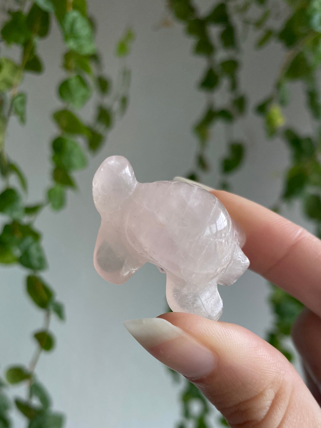 Turtle Carving | You Pick Material