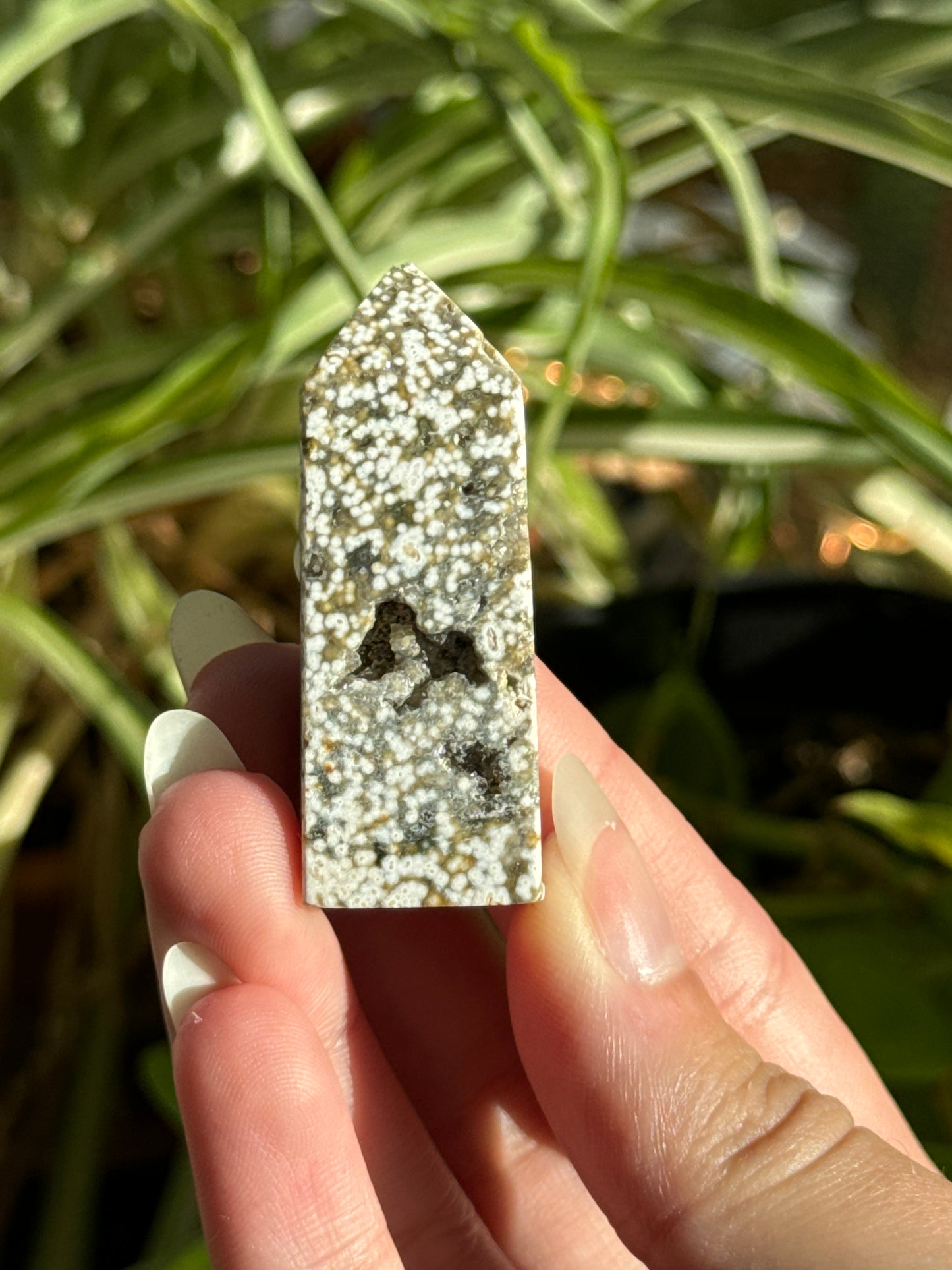 Orbicular Druzy Sea Jasper Towers