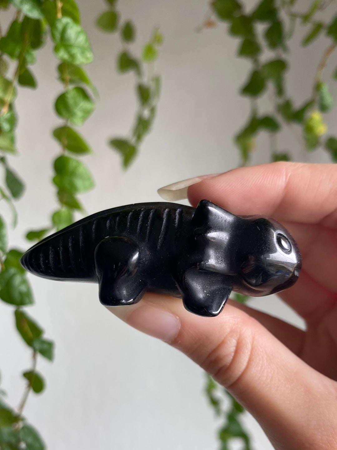 Obsidian Axolotl