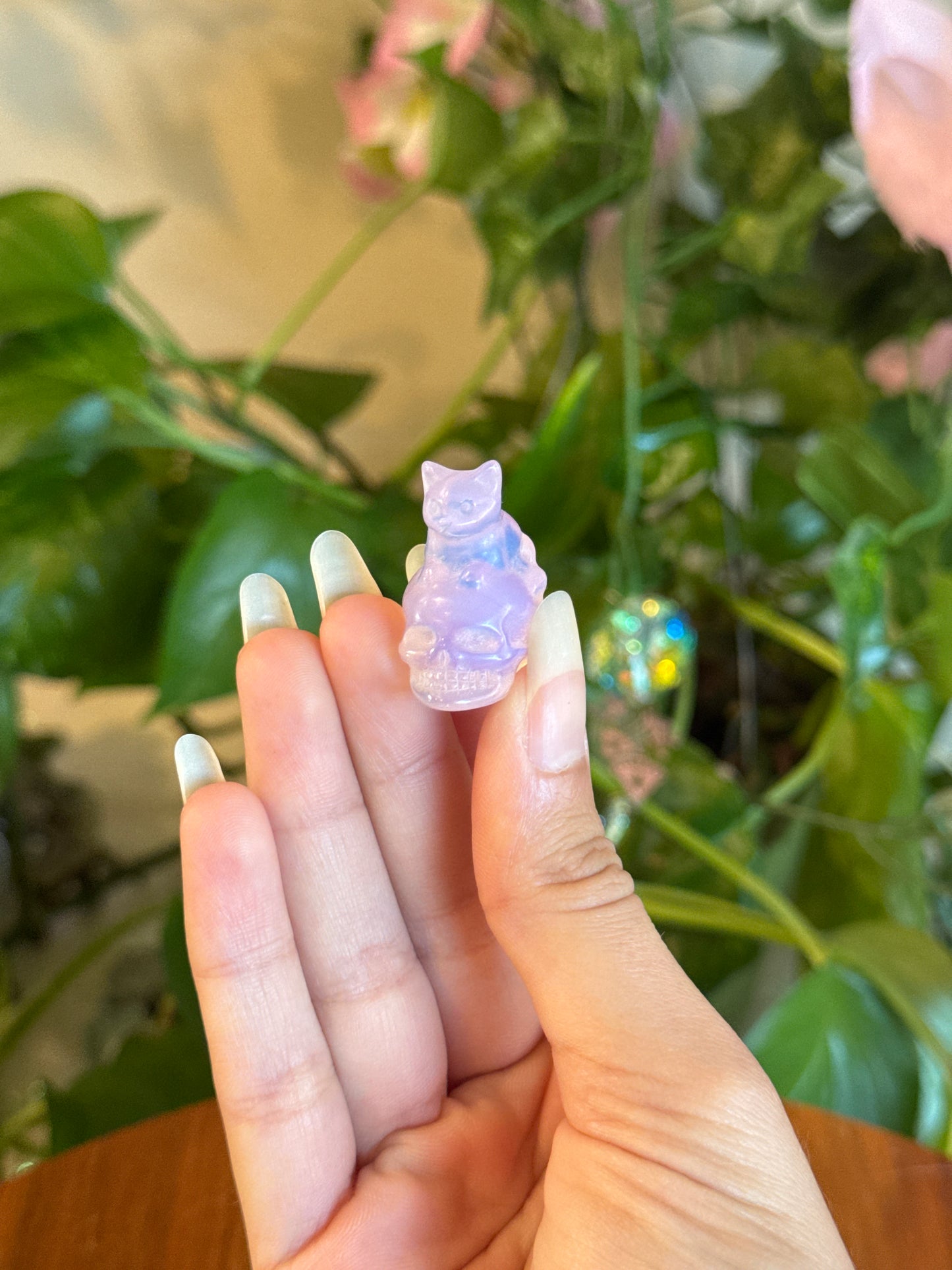 jenelleguiyab listing