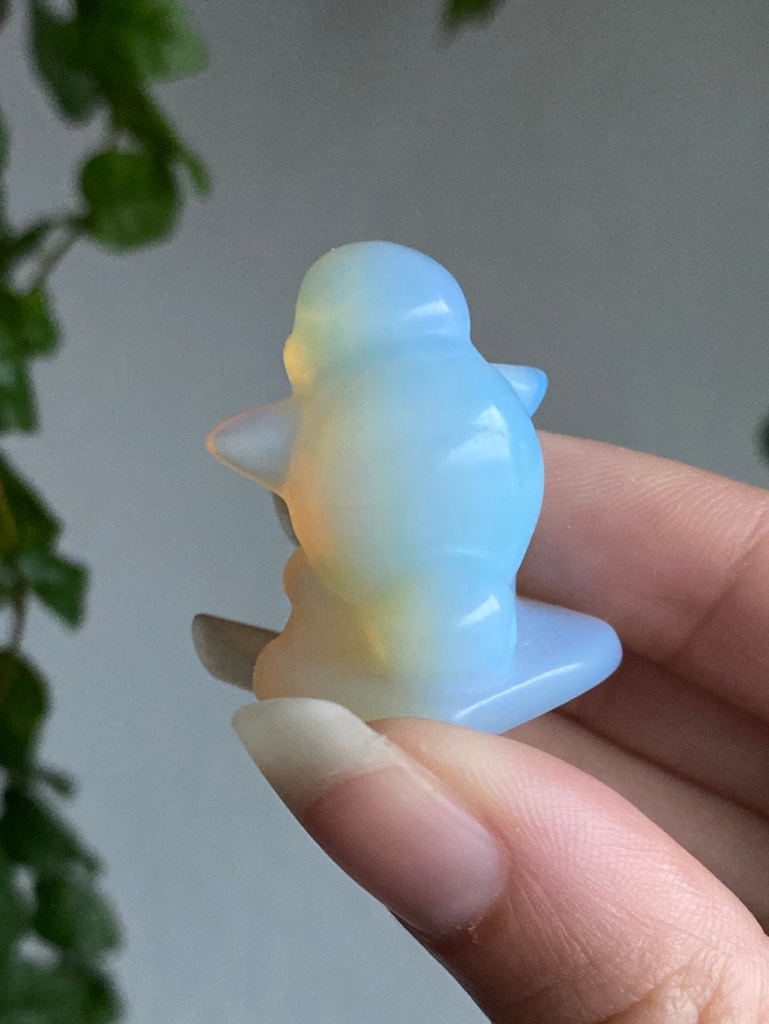 Opalite Squirtle