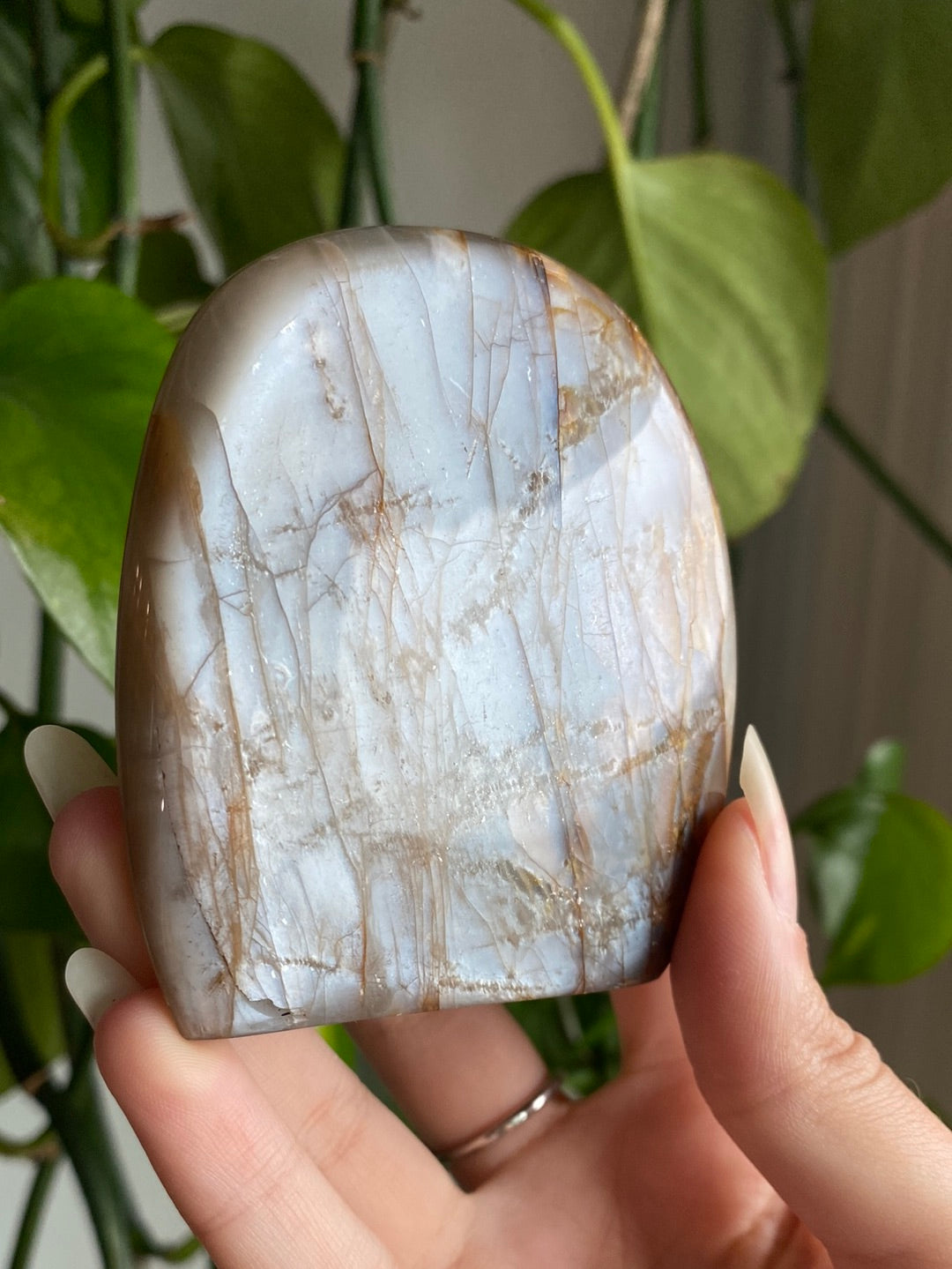 Black Moonstone Freeform A