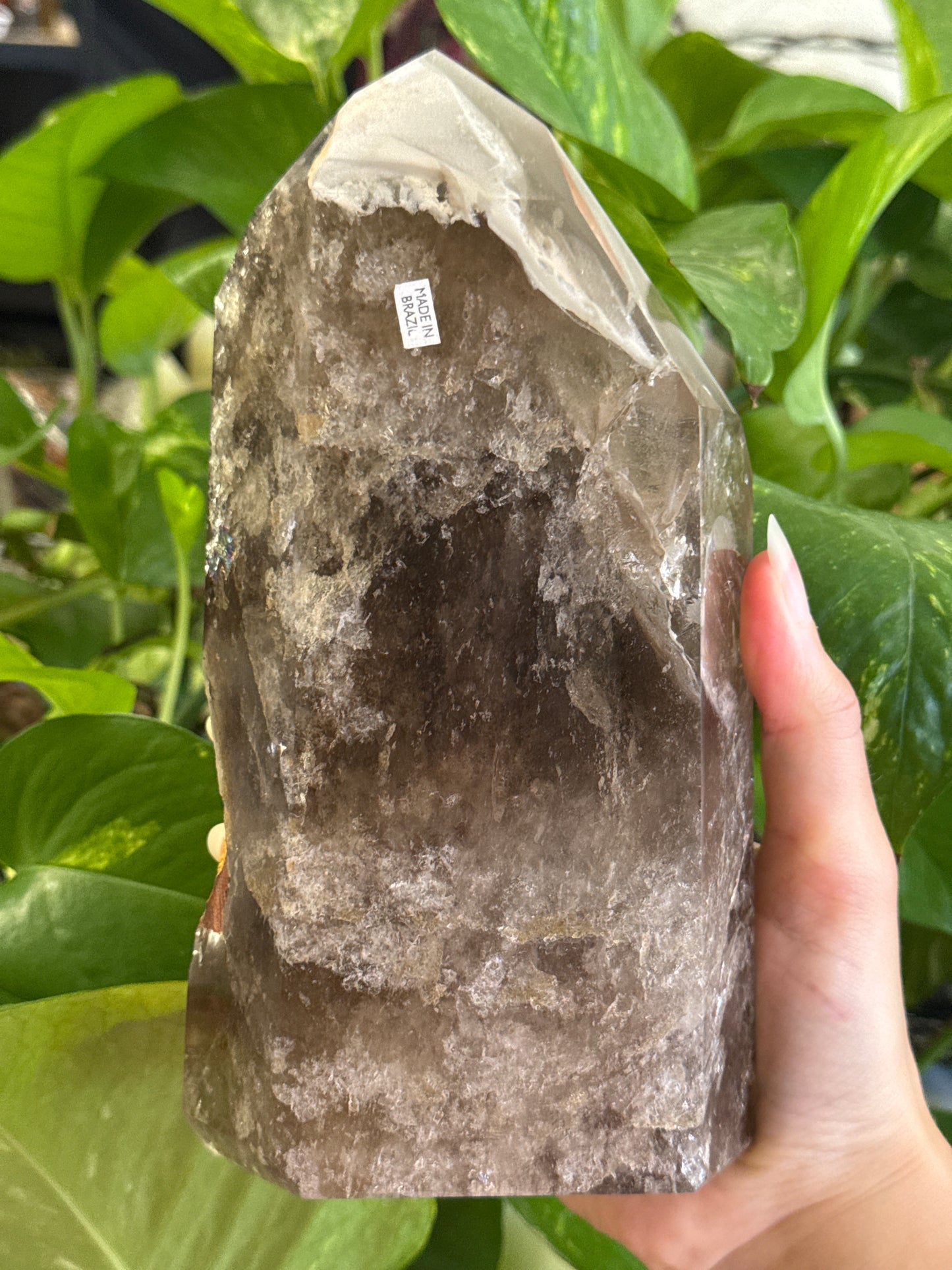 Collectors Statement Smoky Quartz with Garden Quartz Tower 🕸️