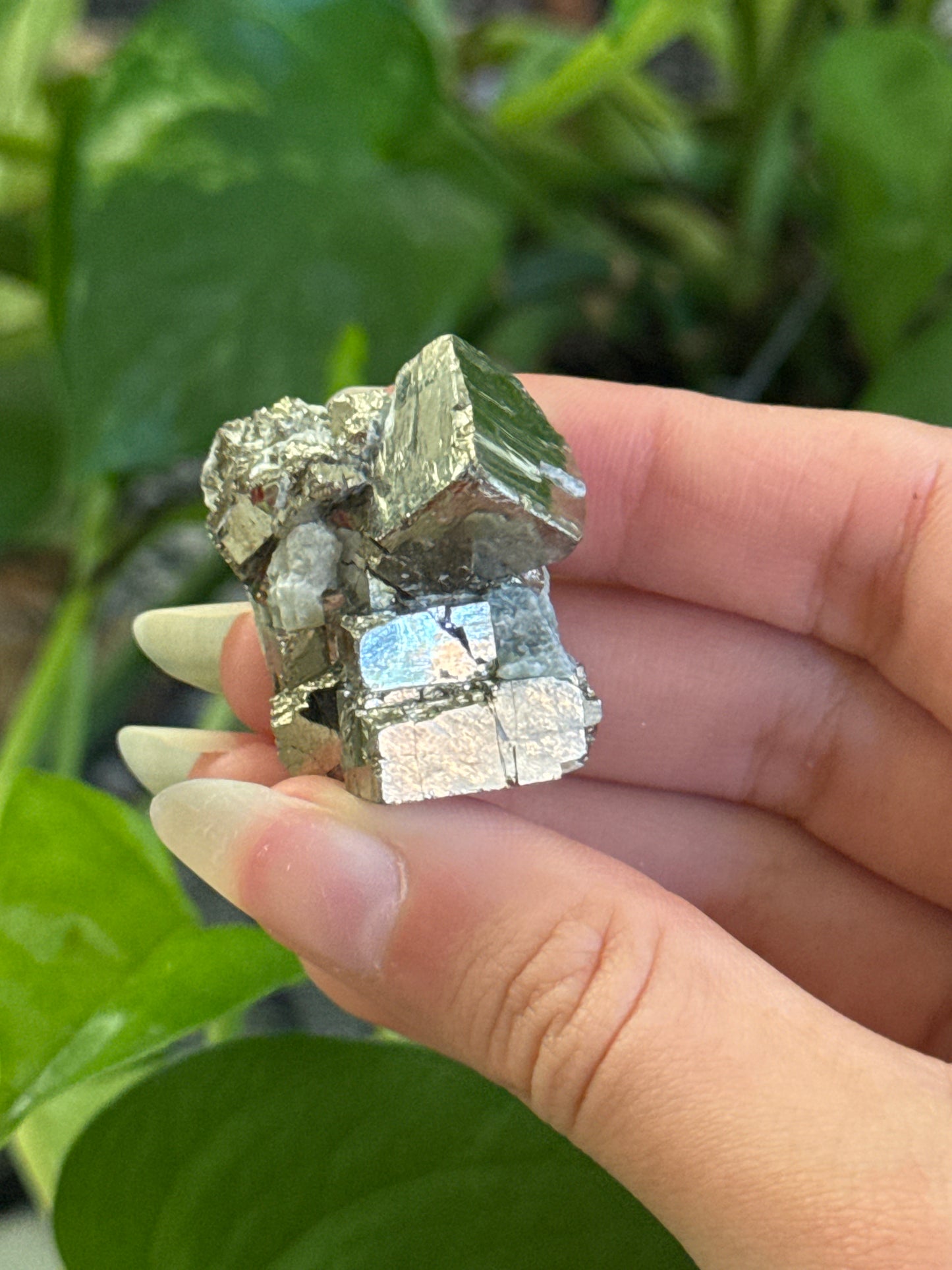Cubic Pyrite Specimen | You Pick
