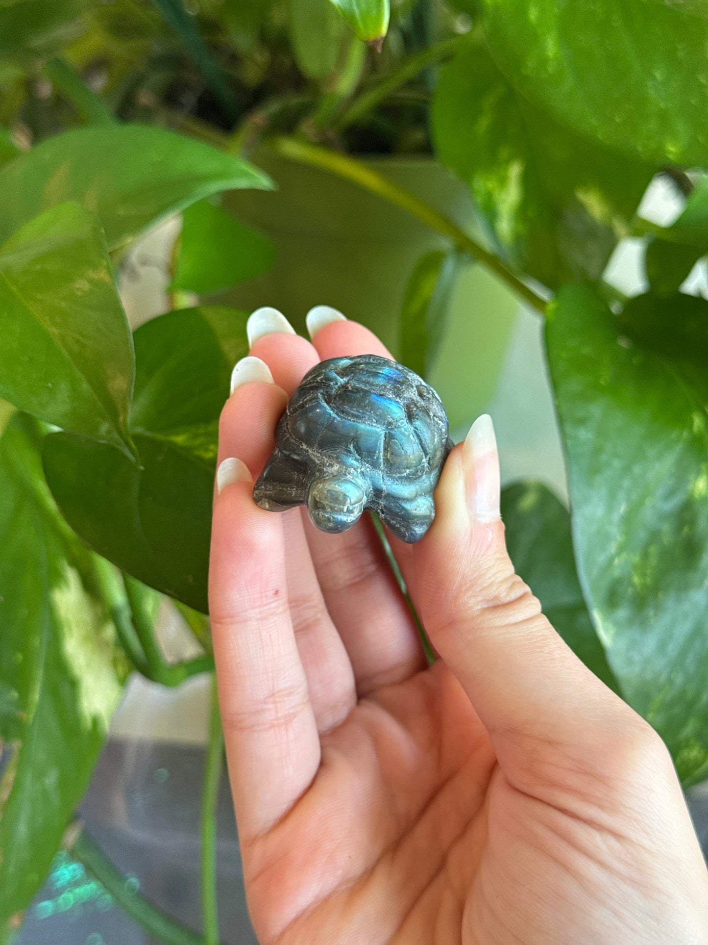 Labradorite Chonky Turtle Carving