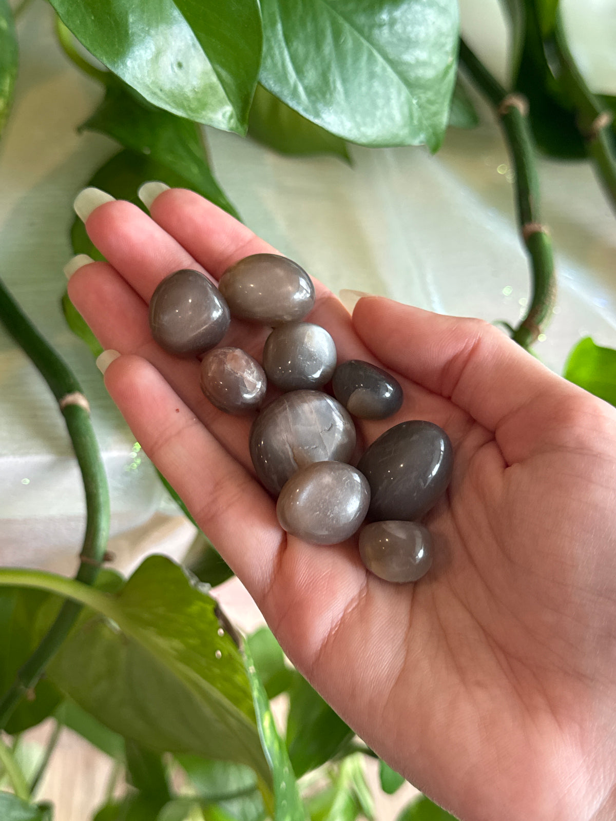 Flashy Grey Moonstone Tumble