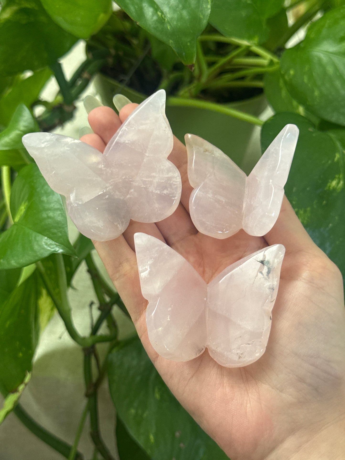 Pink Rose Quartz 3D Butterfly Carving
