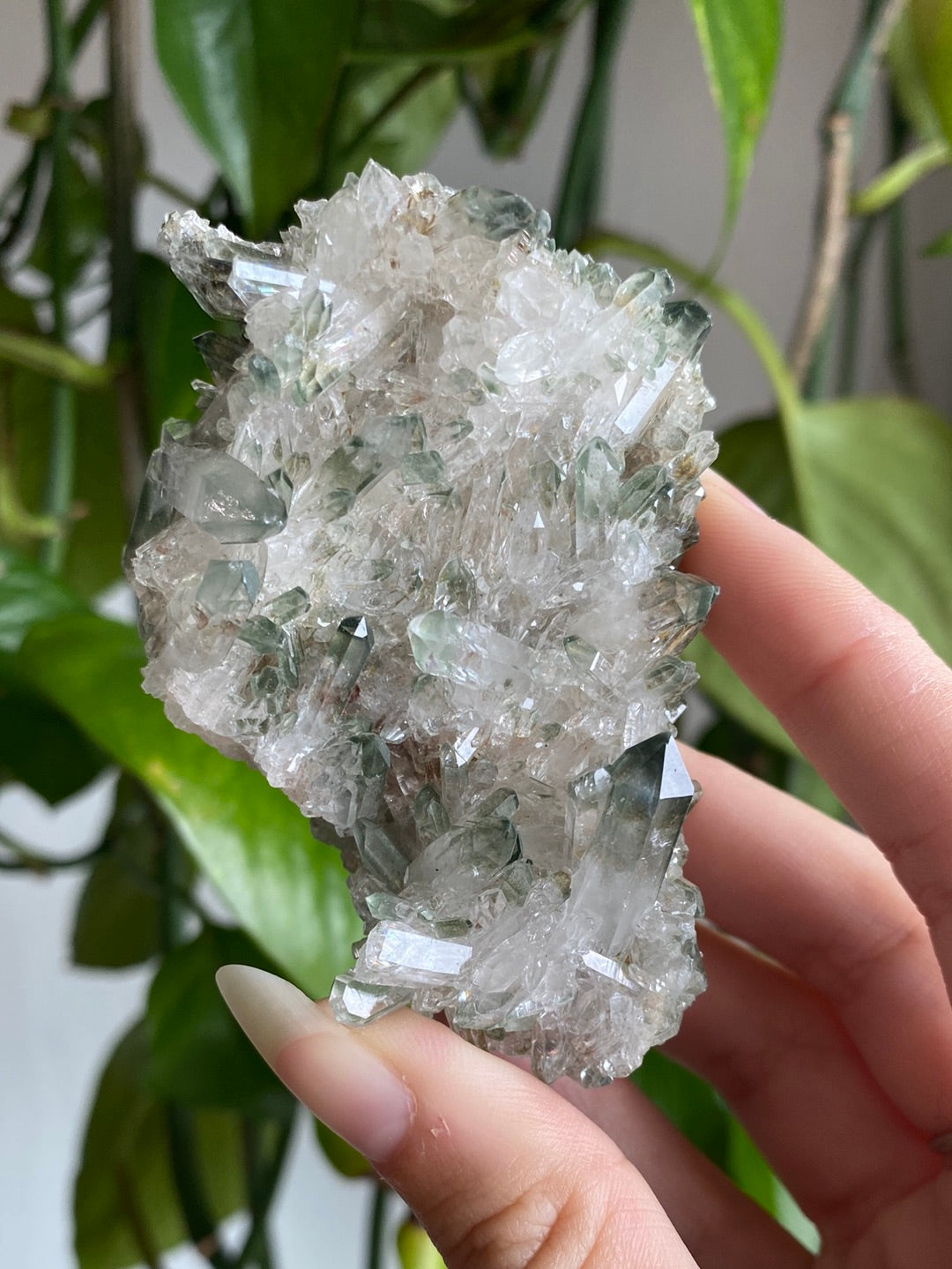 Himalayan High Altitude Quartz