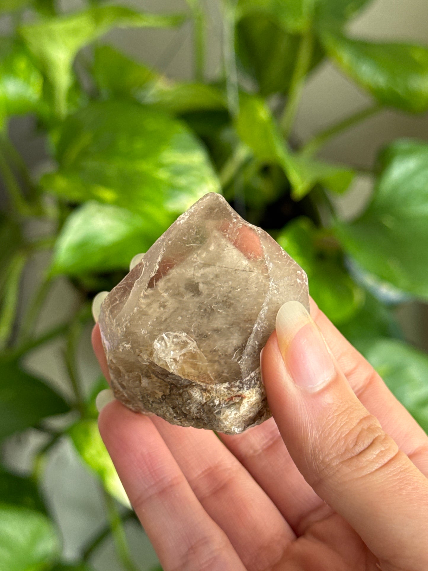 Raw Phantom Garden Quartz With Silver Rutile Point