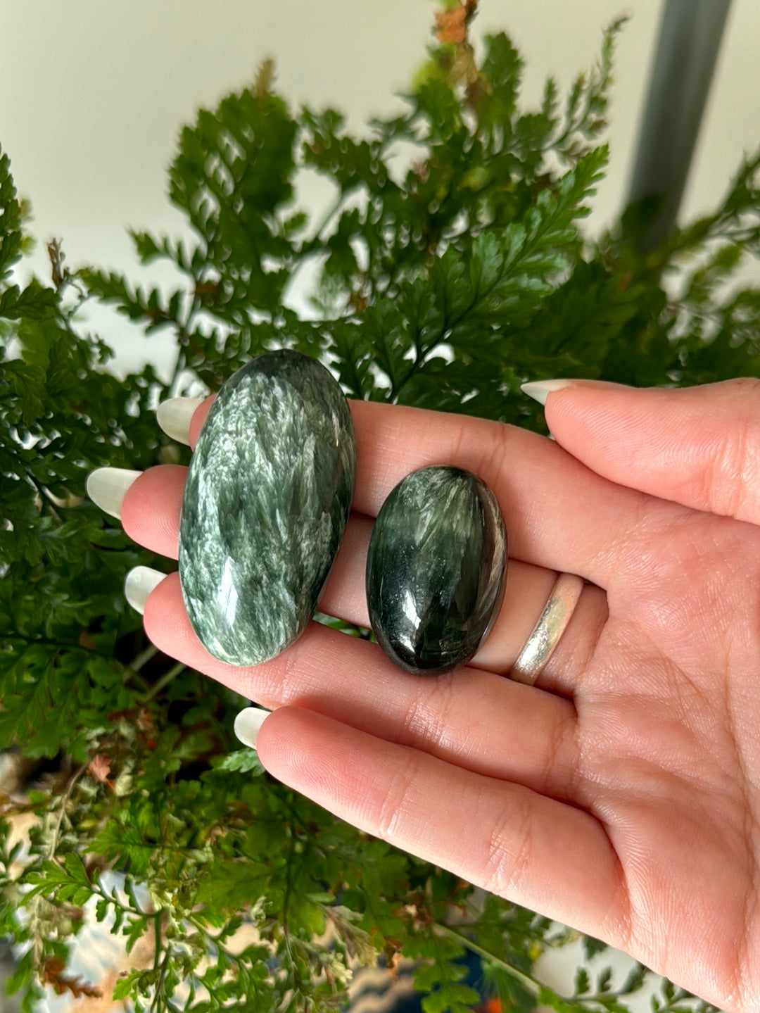 Serephenite With Chatoyancy