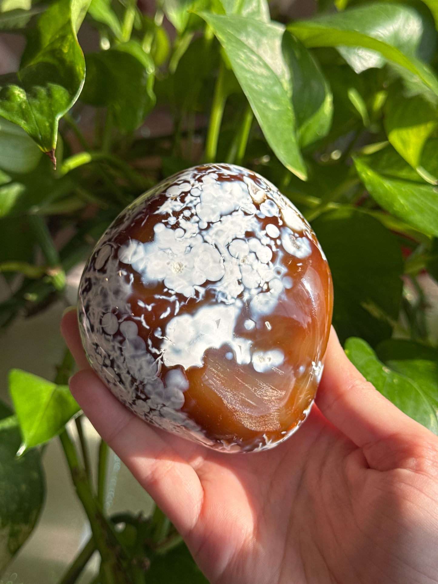 Unique Carnelian & ‘Flower’ Orca Agate Large Freeform