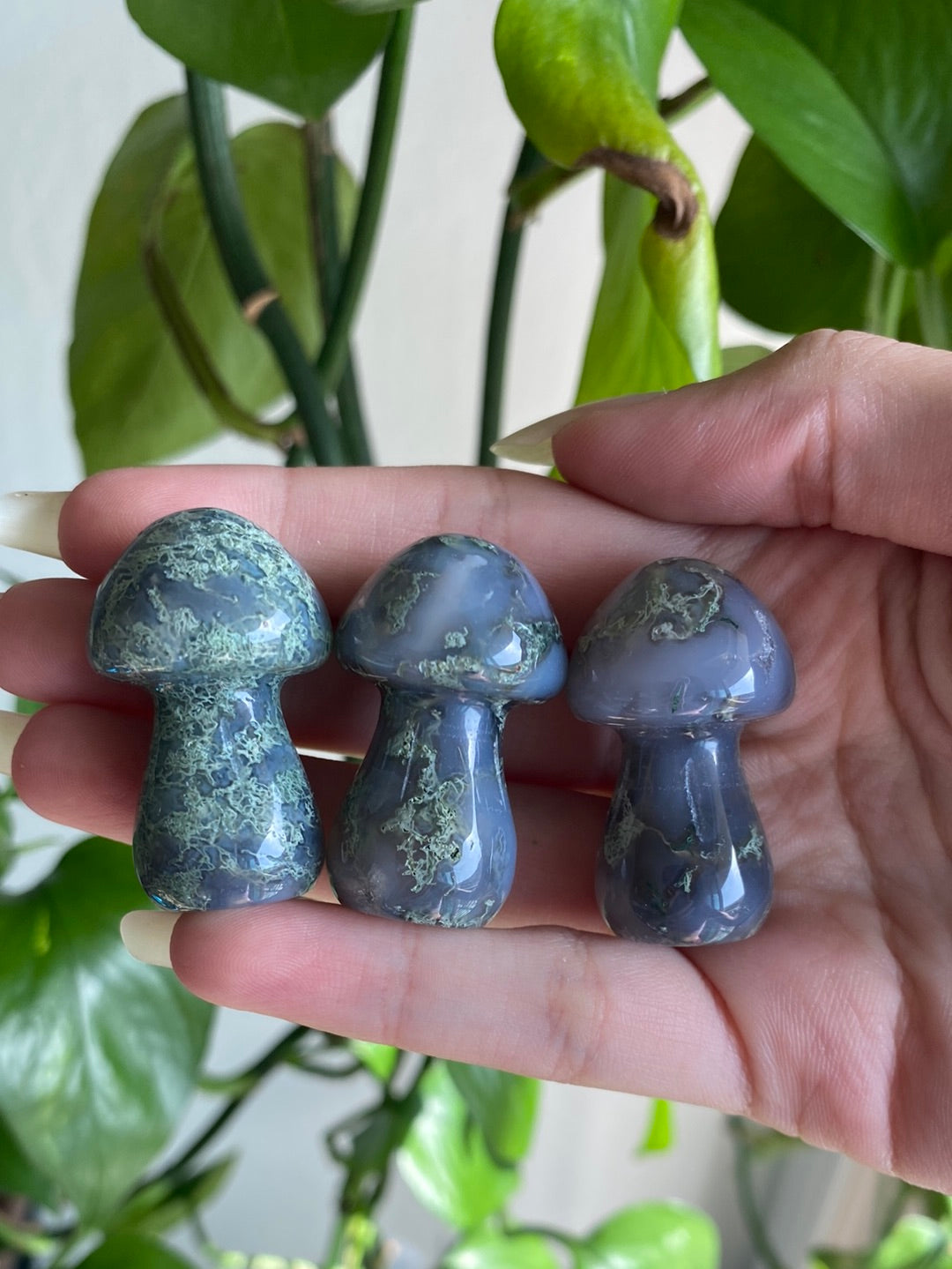 Moss Agate Mushroom - Intuitively Picked