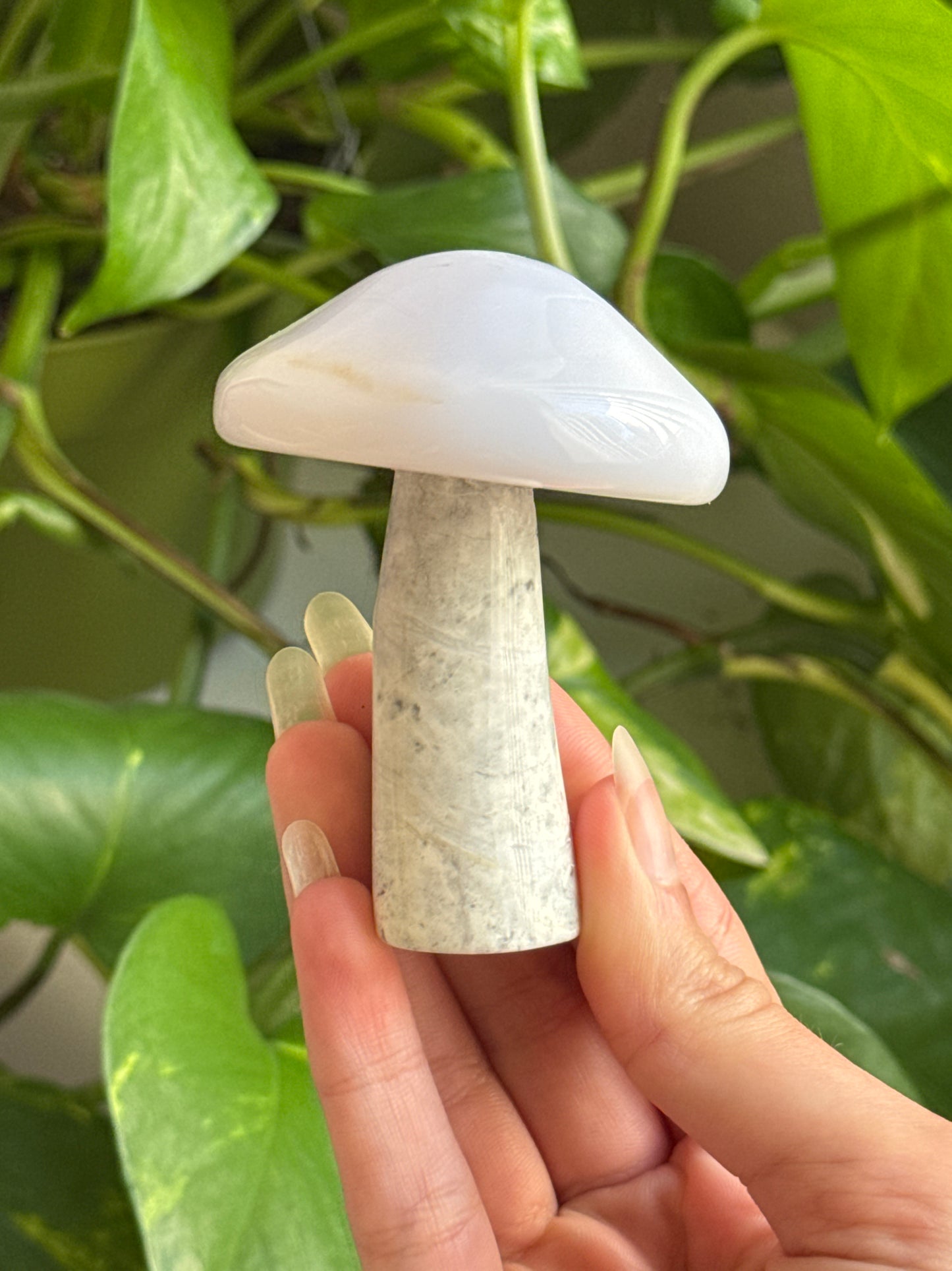 Blue Chalcedony Mushroom