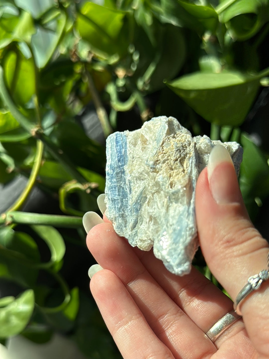 Kyanite & Quartz Specimen