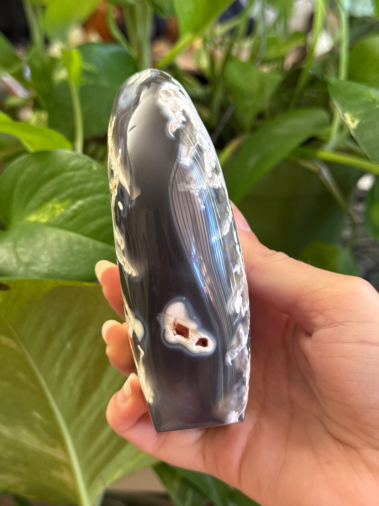 Super Unique Orca Agate Freeform