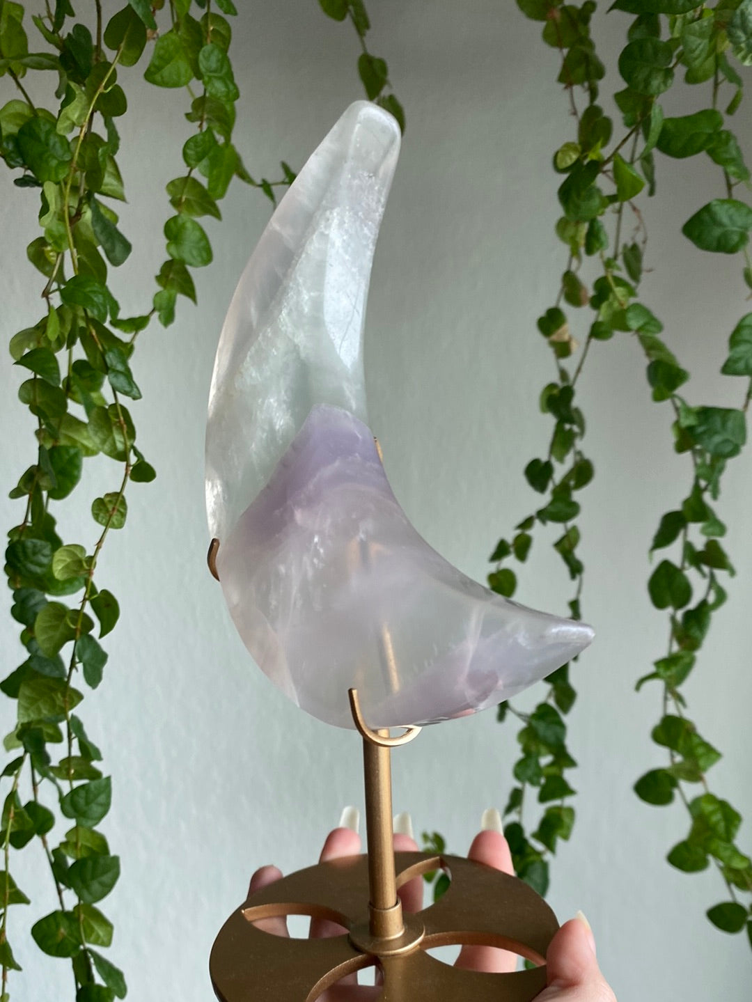 Large Yytrium Fluorite Moon Stands | You Pick