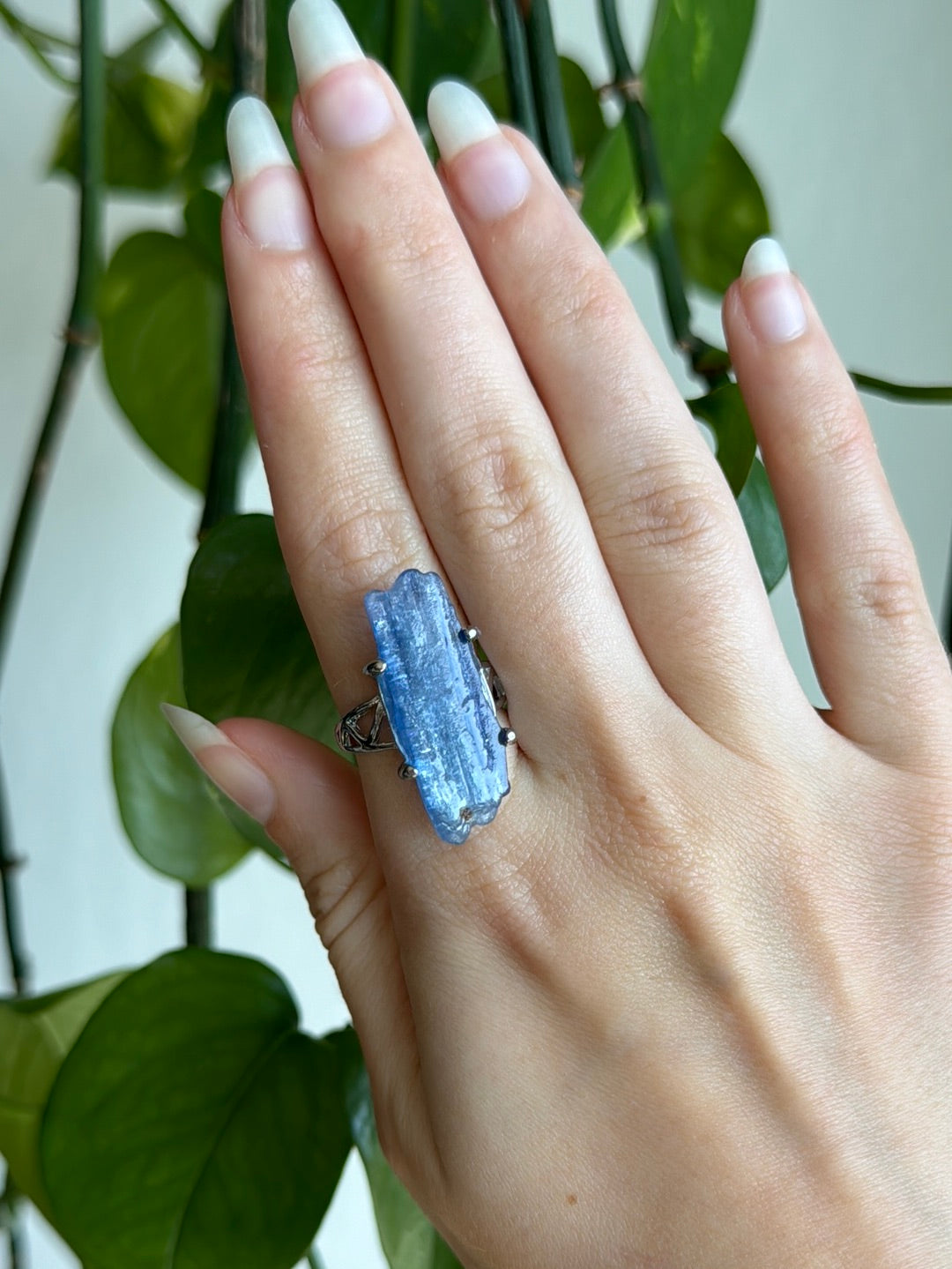 Kyanite Polished Blade Adjustable Ring