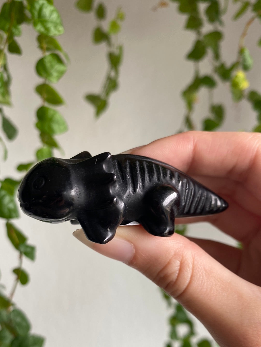 Obsidian Axolotl
