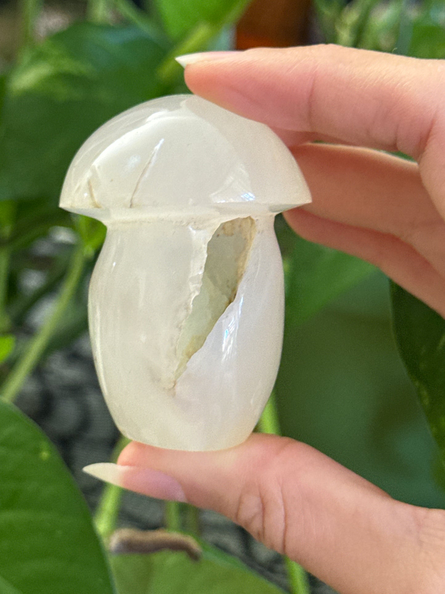 Druzy Cave Agate Mushroom A