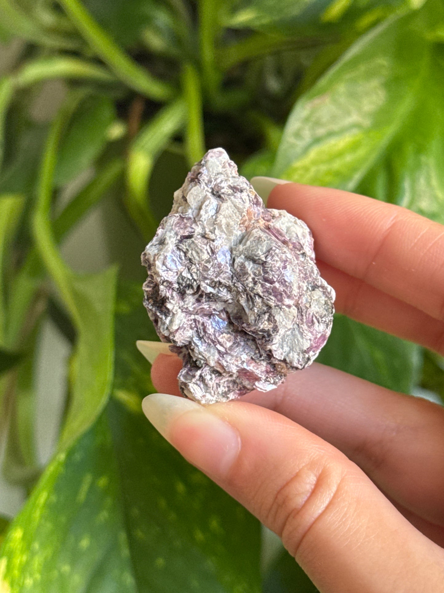 Purple Mica Specimen