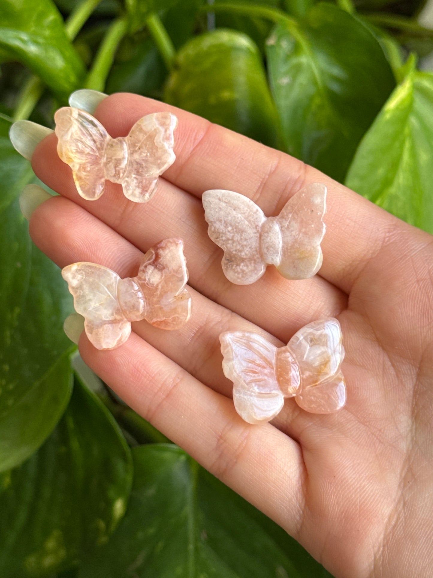 Flower Agate Butterfly