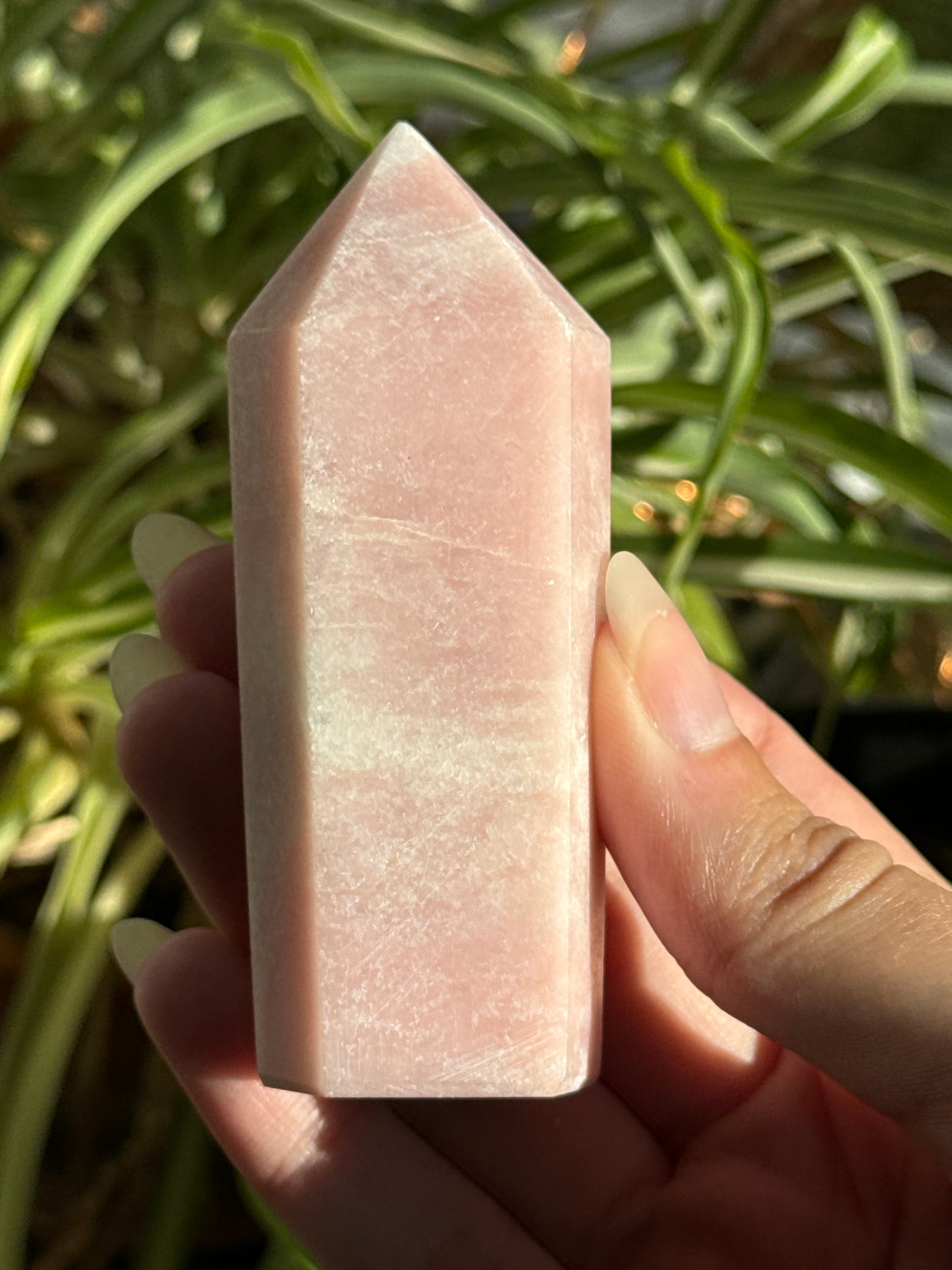 Pink Opal Towers Batch 1