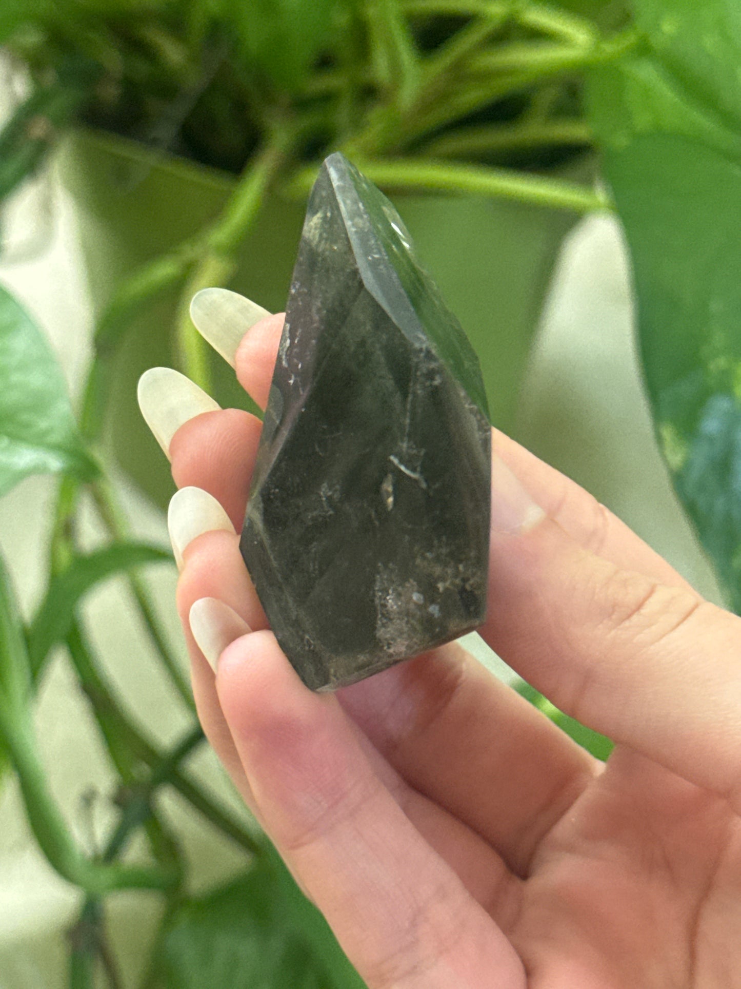 Moody Garden Quartz Freeform C