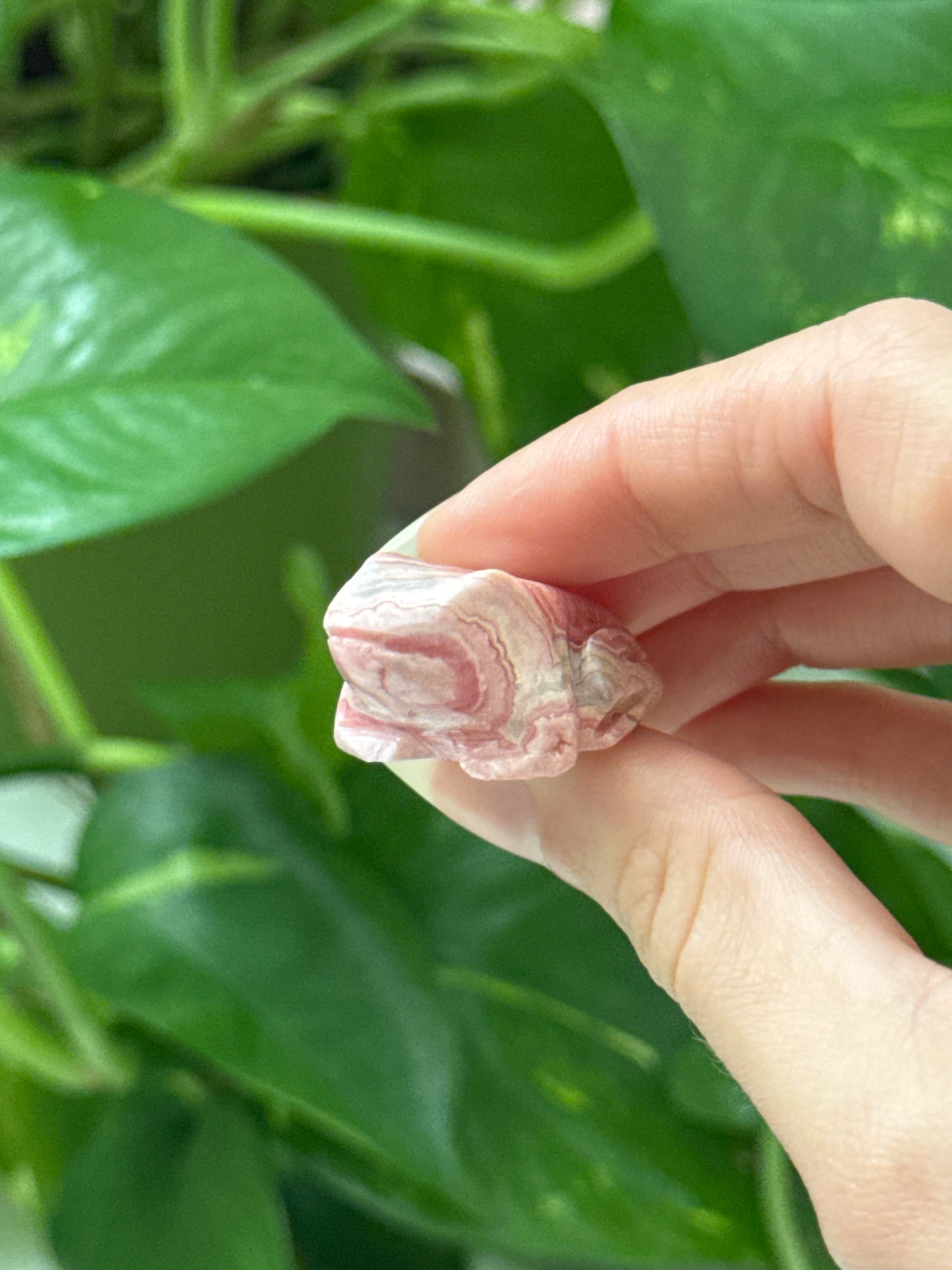 Rhodochrosite Hand Carved Frog