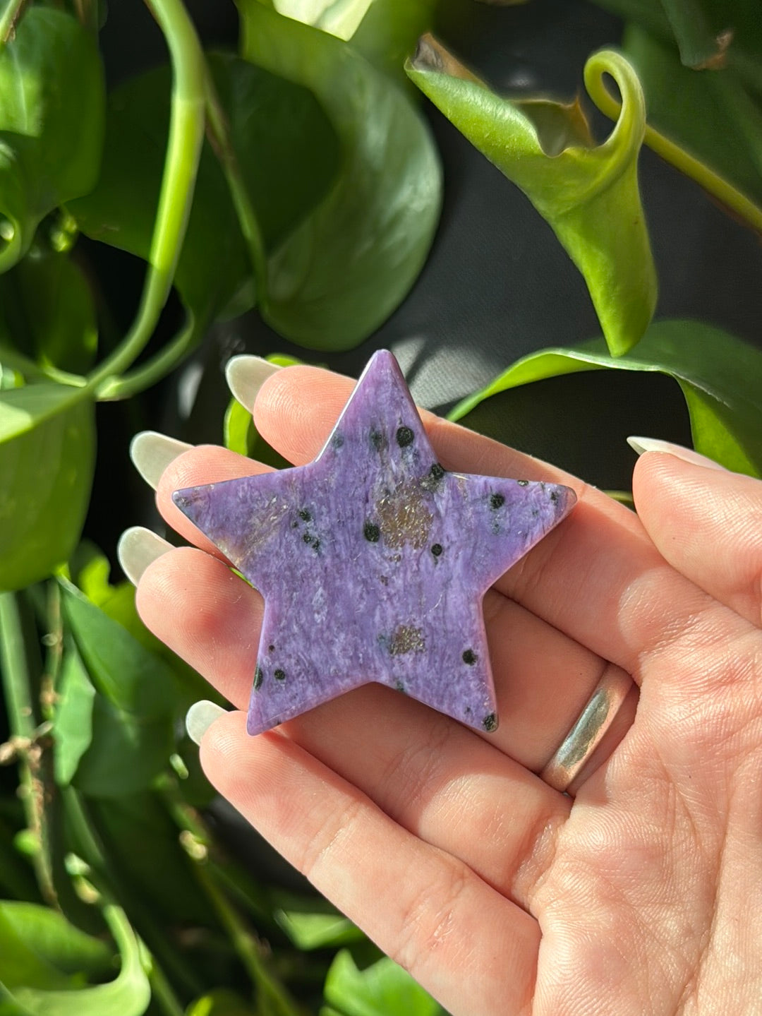 High Grade Charoite Star