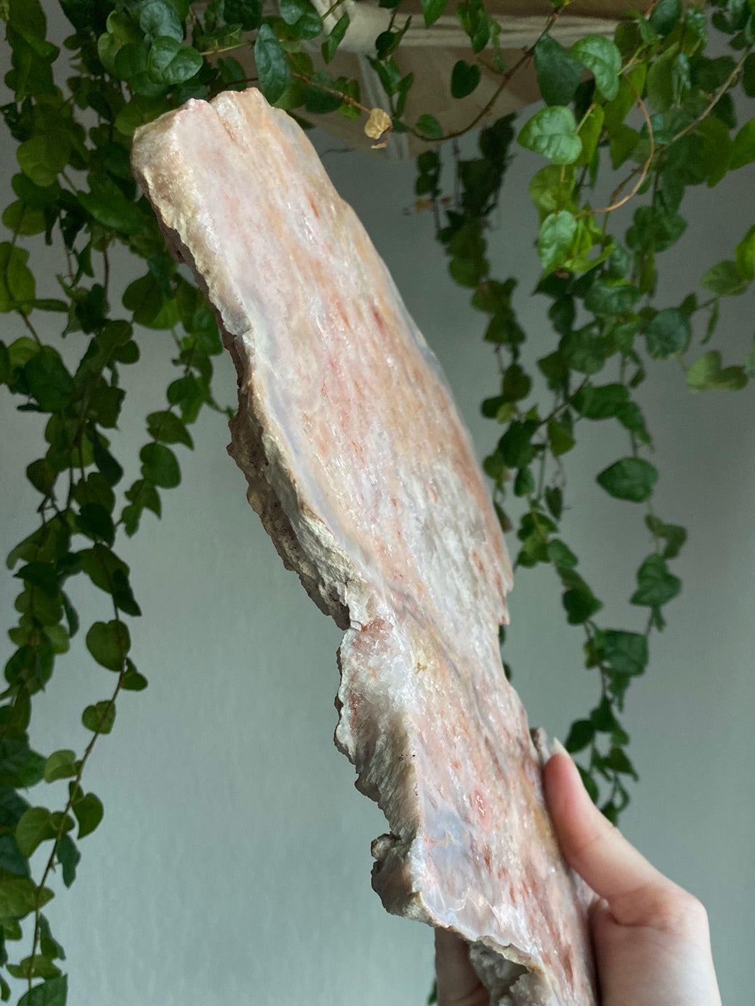 XXL Druzy Pink Amethyst Slab (11” & 3.1lbs)