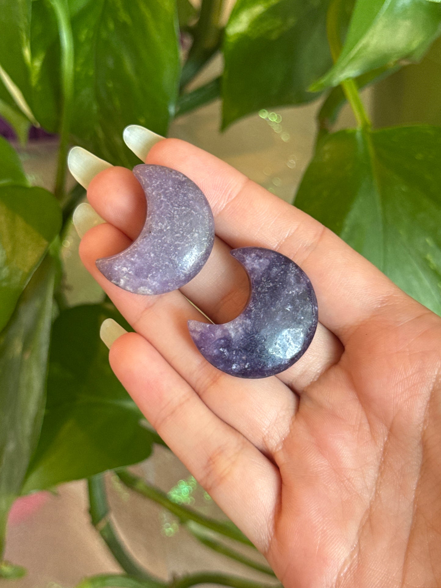 Lepidolite Moon