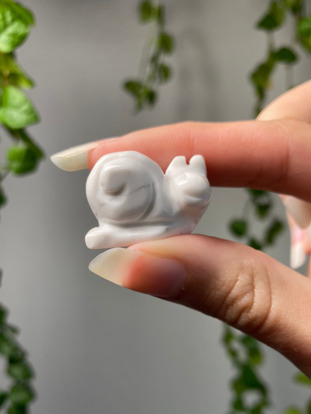 Howlite Mini Snail