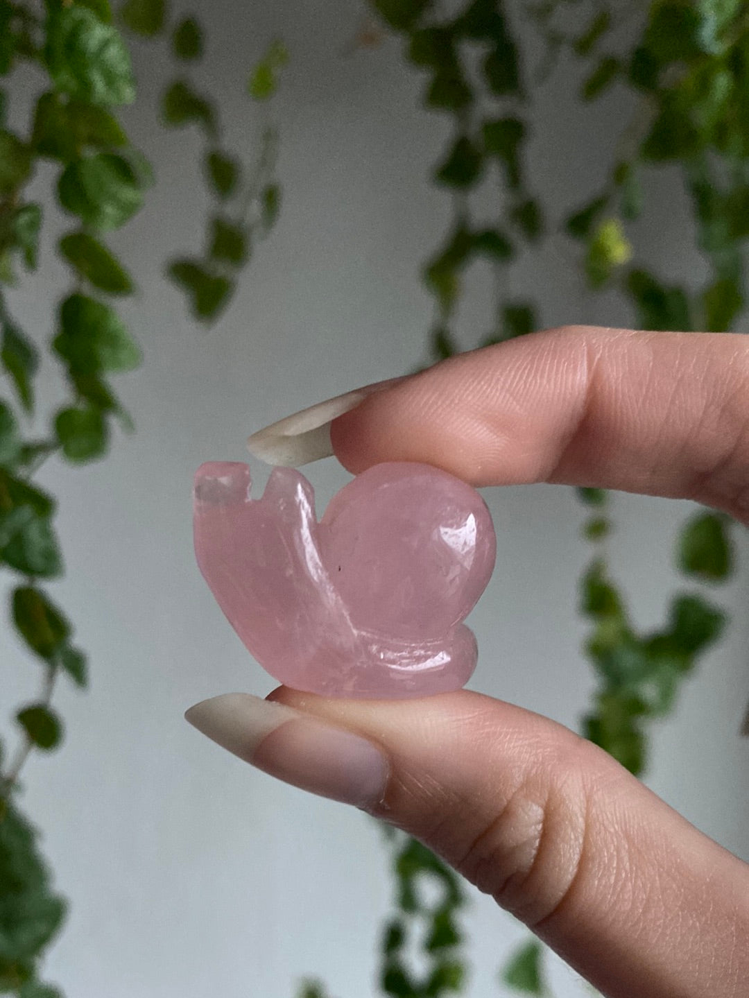 Rose Quartz Snail