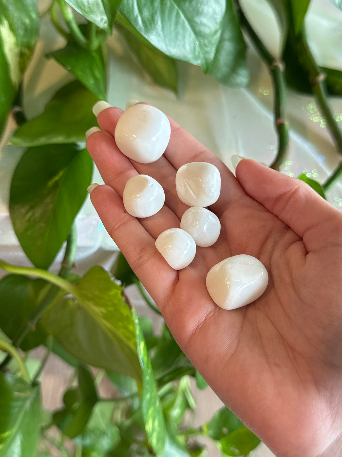 White Calcite ‘Marshmallow’ Tumble