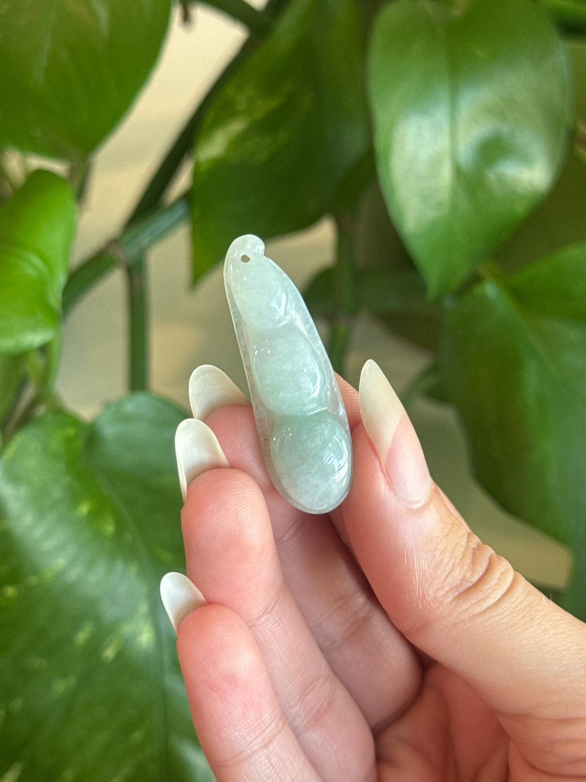 Jade Snap Pea