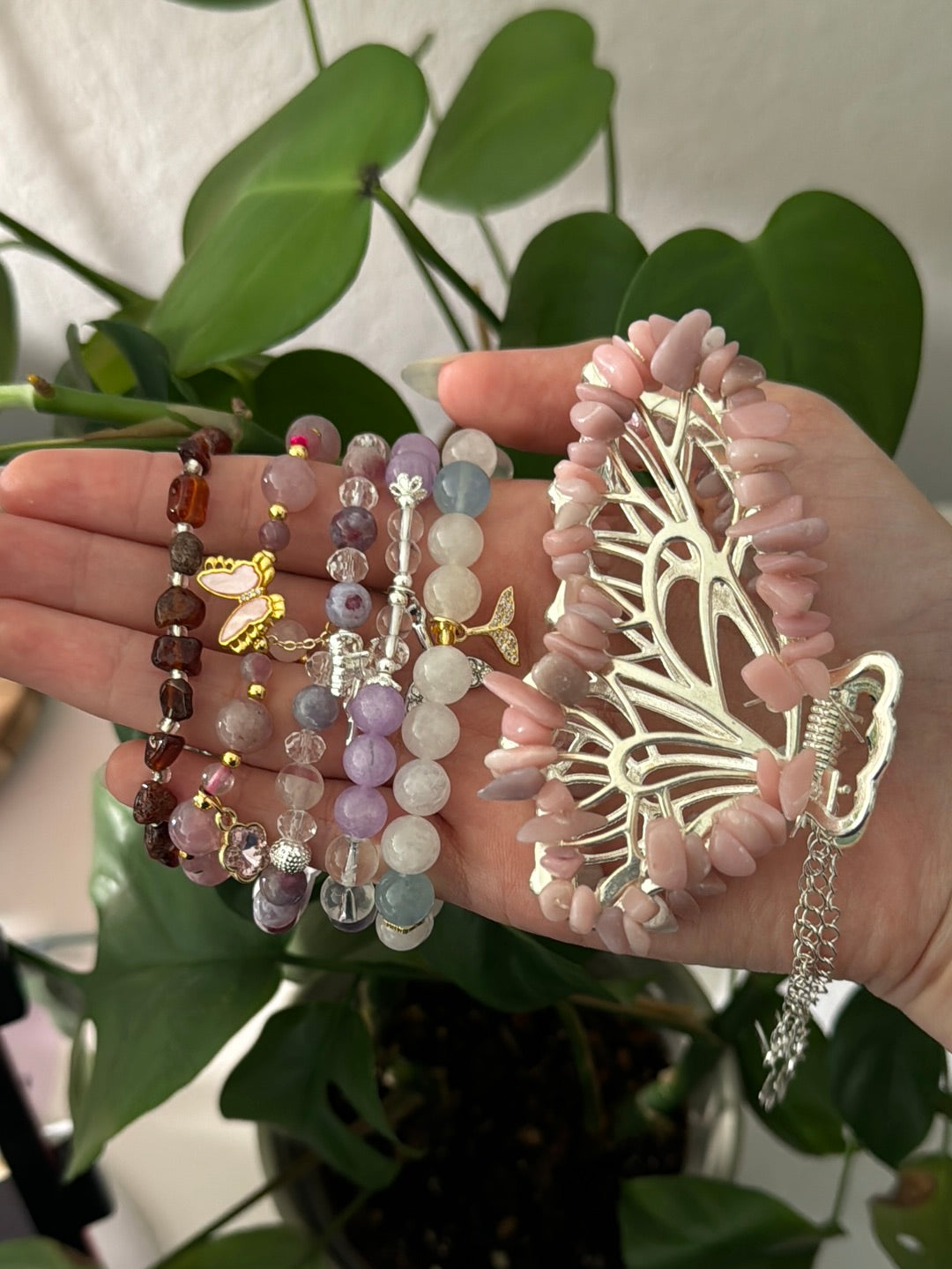 Lizsanchez Livesale Listing (hold)