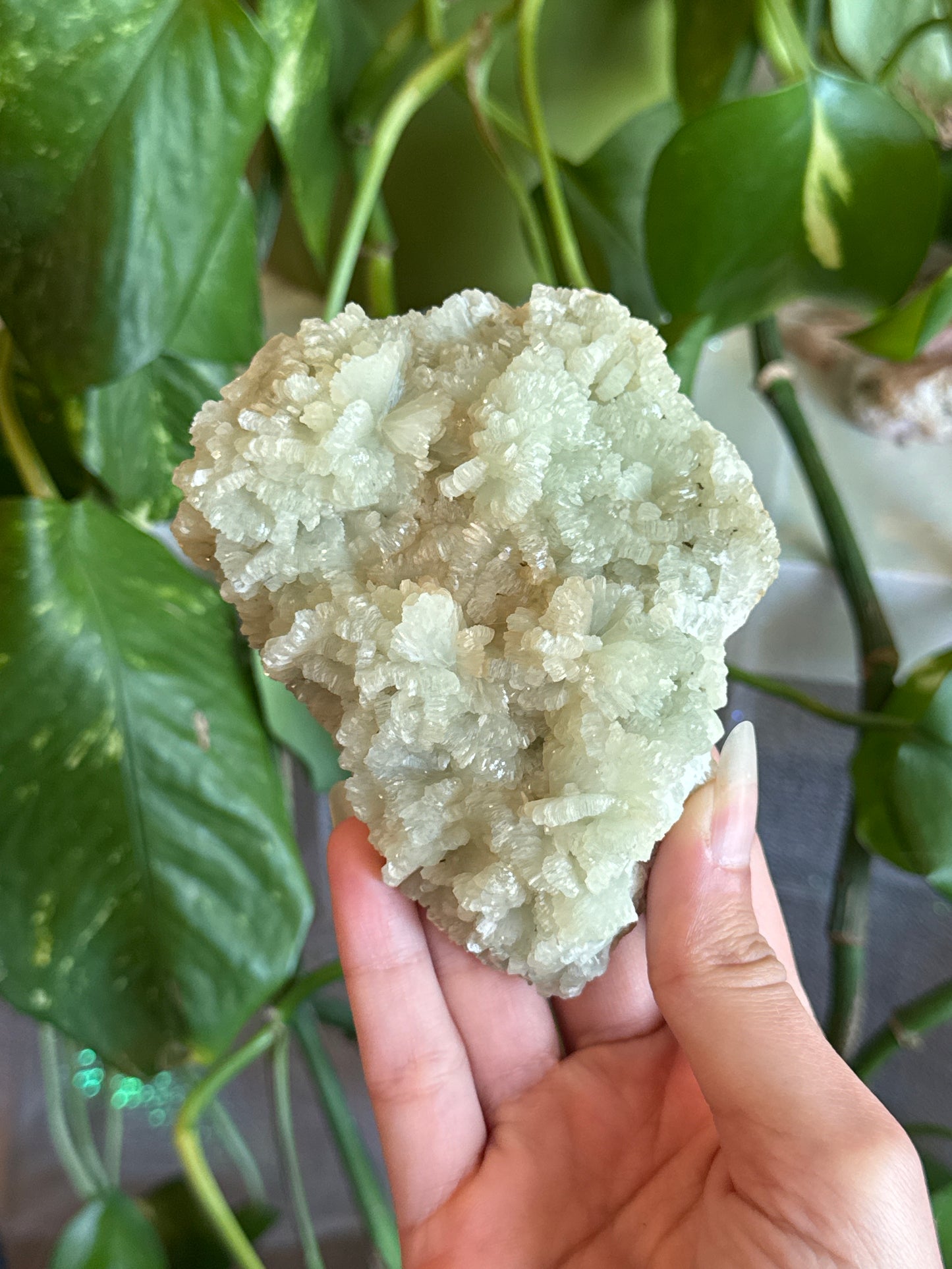 Crystalized Green & Orange Prehnite Specimen Cluster