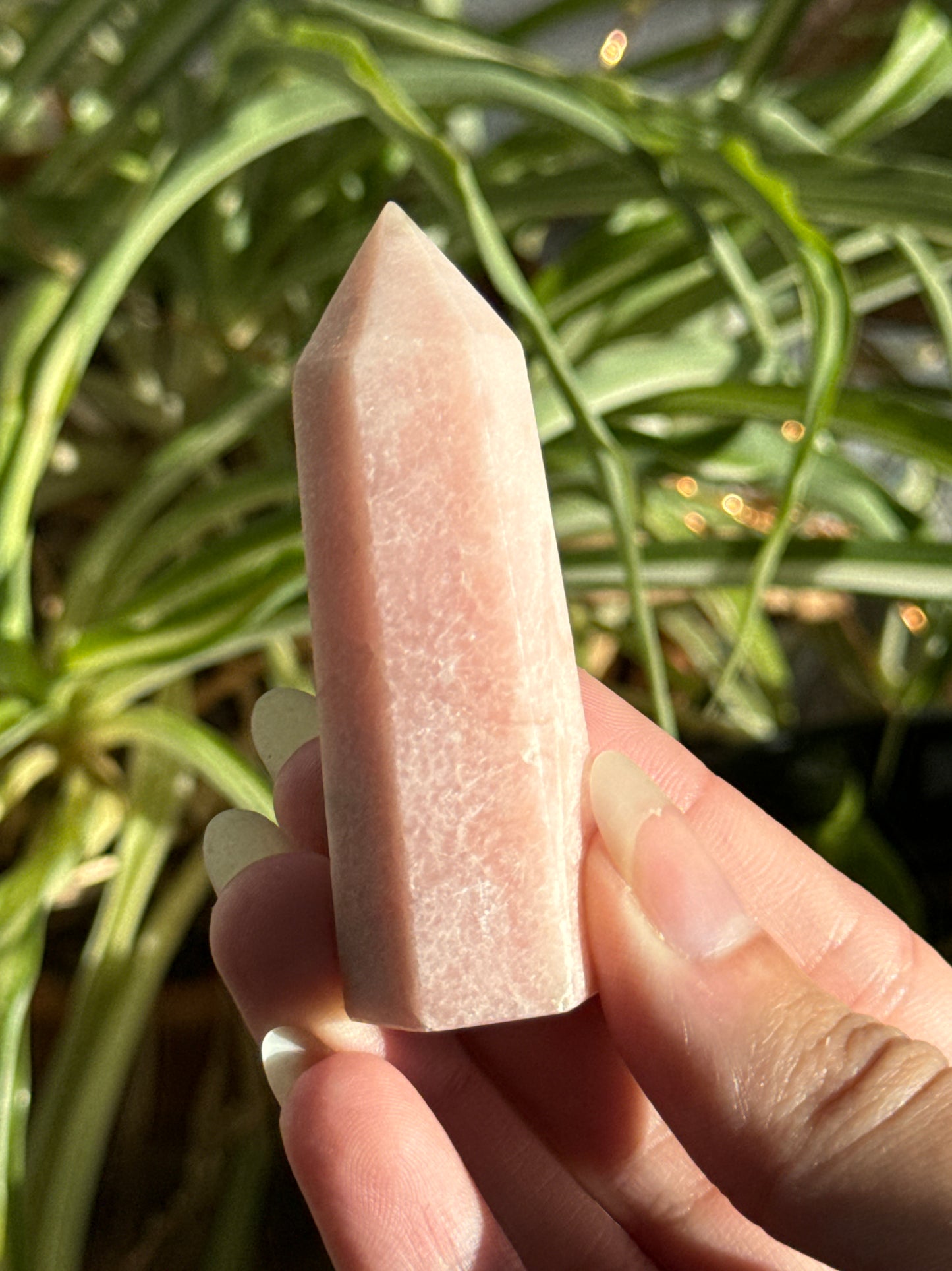 Pink Opal Towers Batch 2
