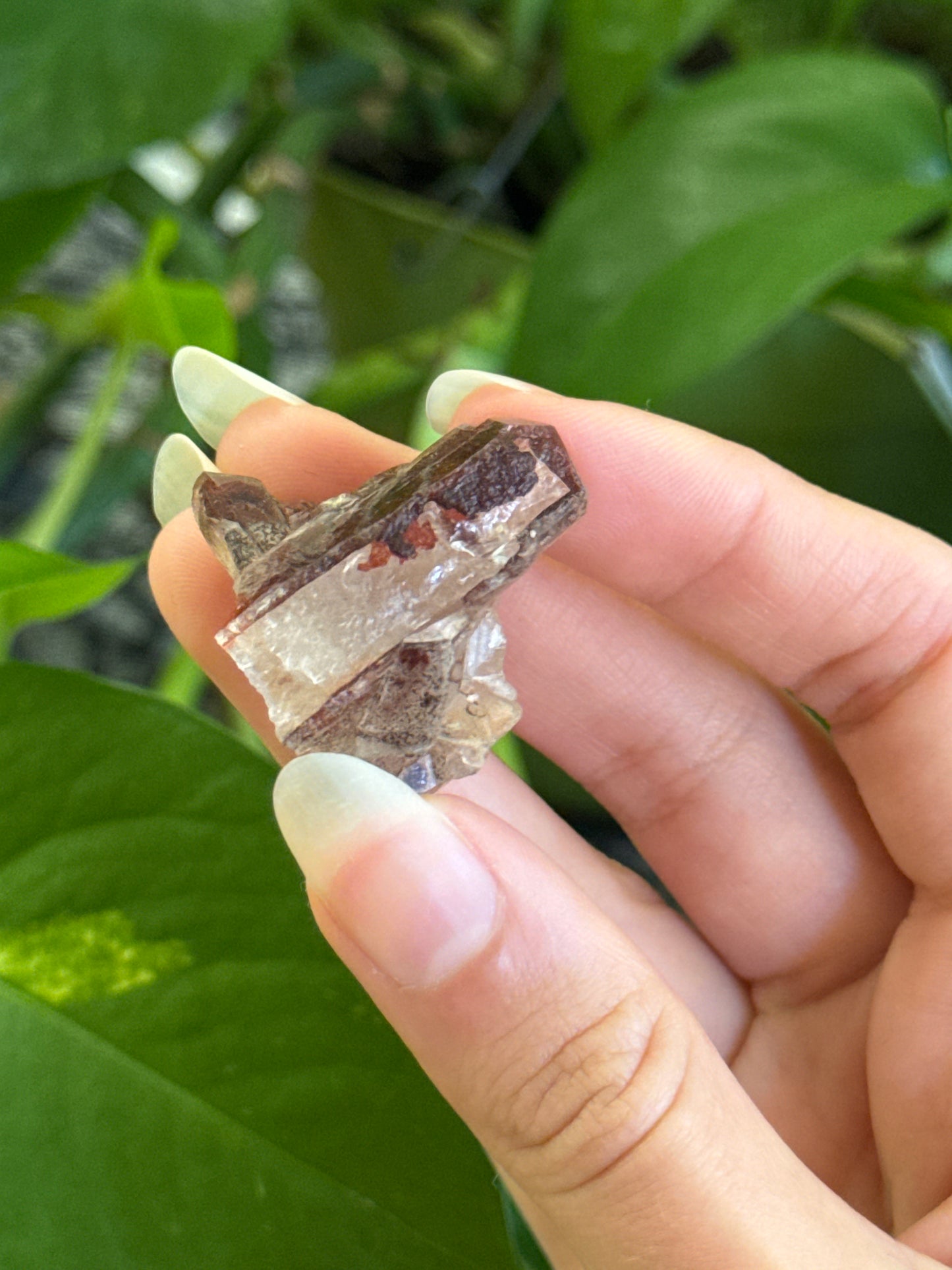 Hematite Coated Quartz Specimen D