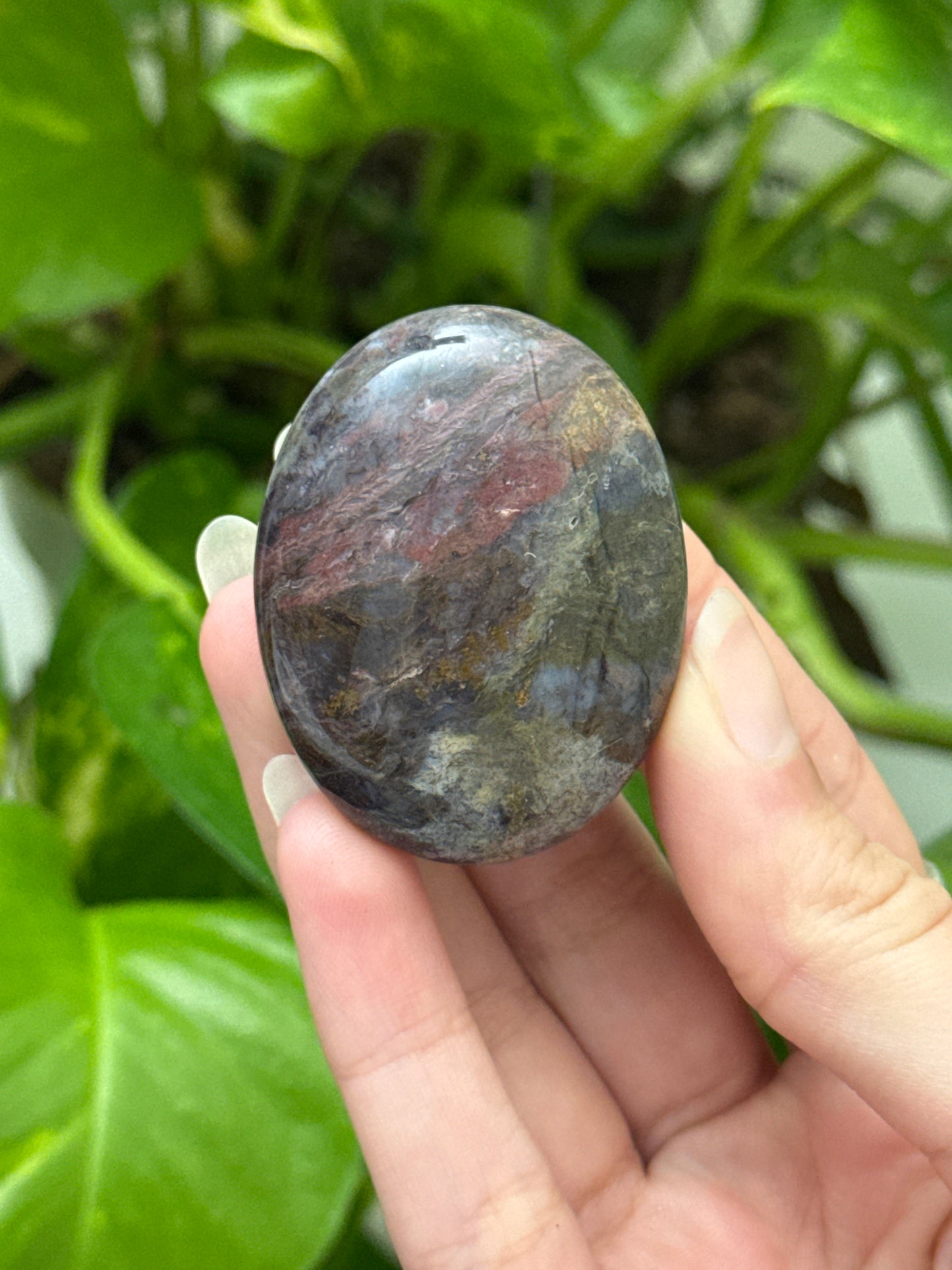 Sea Jasper Palm Stone