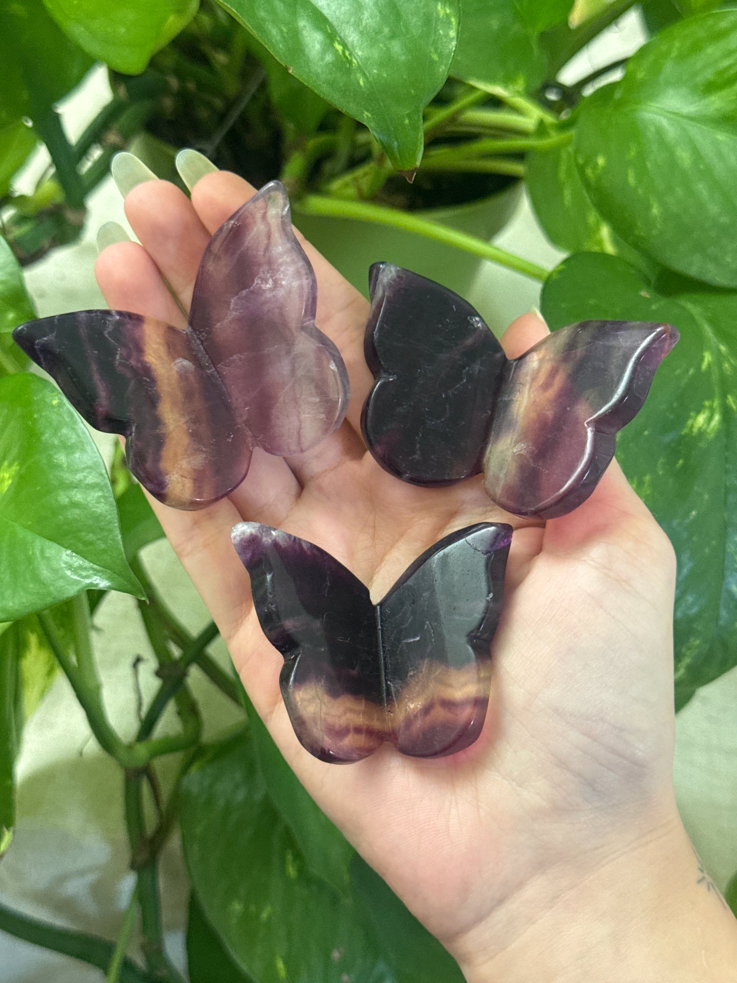 Moody Magenta Fluorite 3D Butterfly Carving