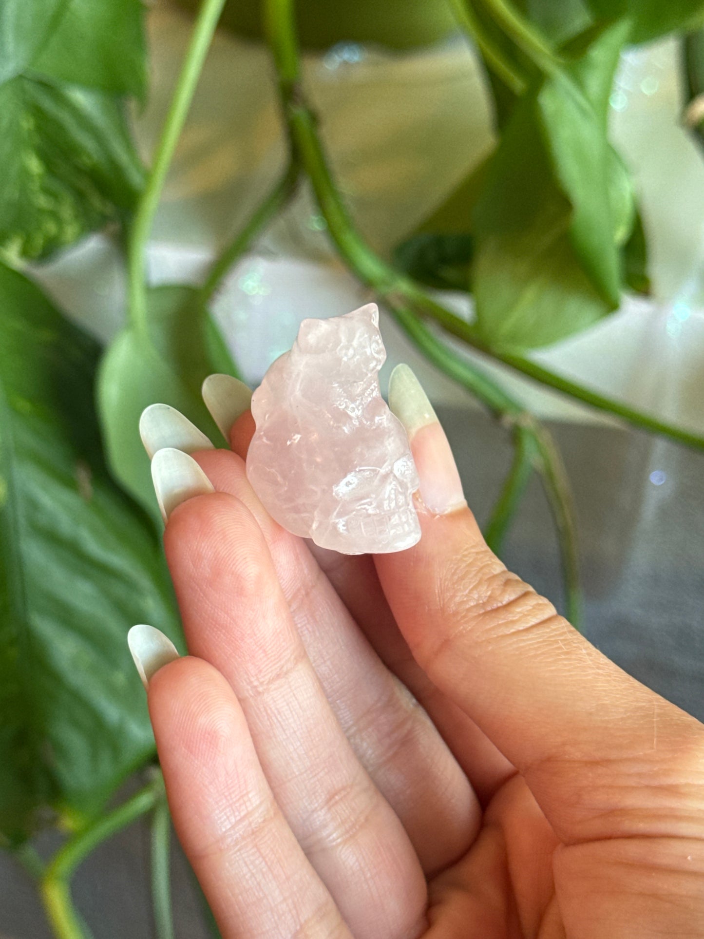 Loafing Cat on Skull Rose Quartz