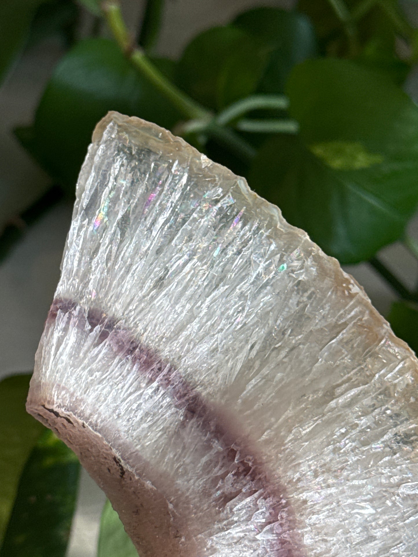 Unique Clear & Magenta Fluorite Slab with Tons of Rainbows