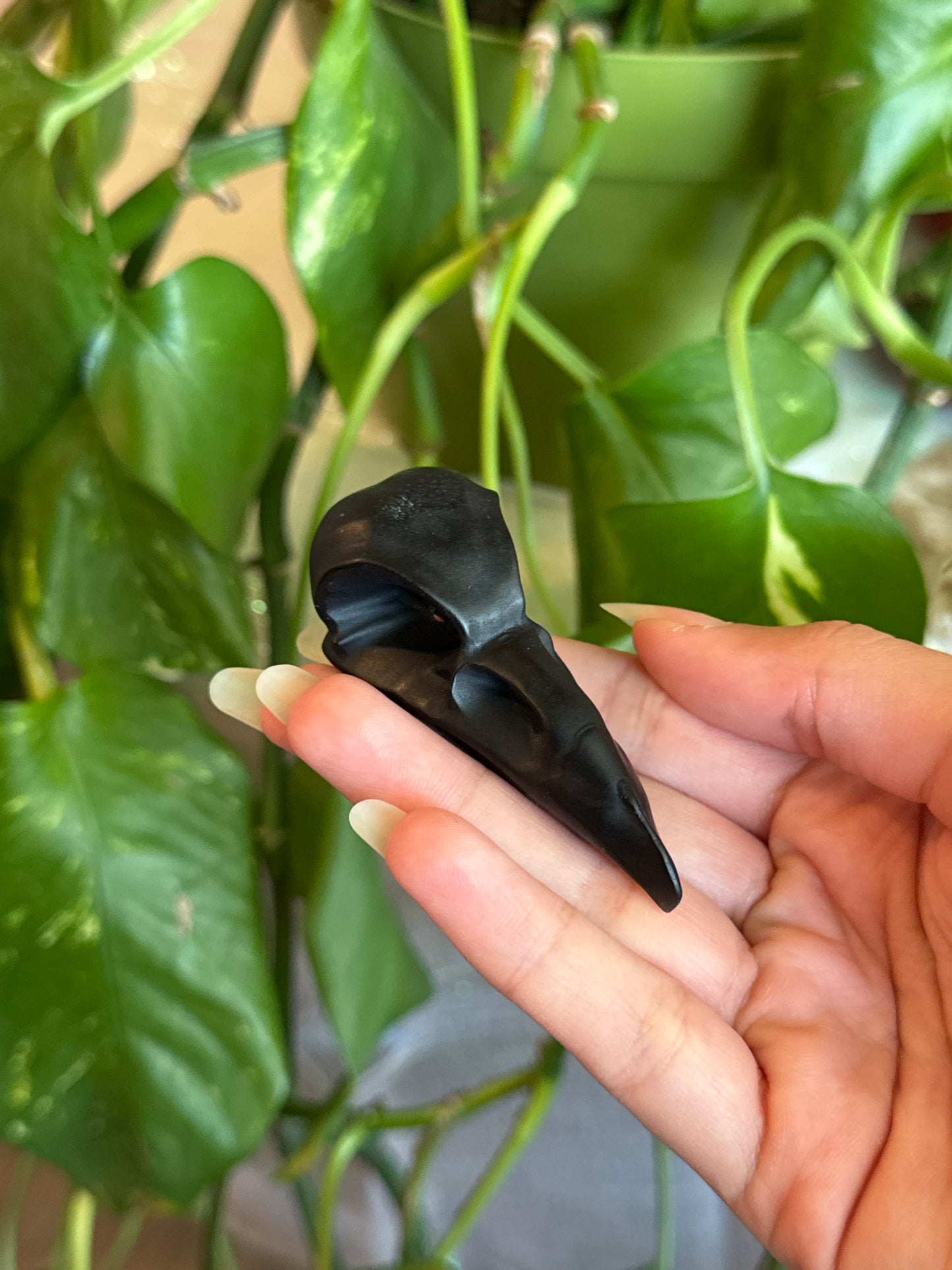 Obsidian Crow Skull